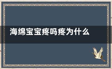 海绵宝宝疼吗疼为什么还抓那么紧 海绵宝宝疼吗疼为什么还抓那么紧